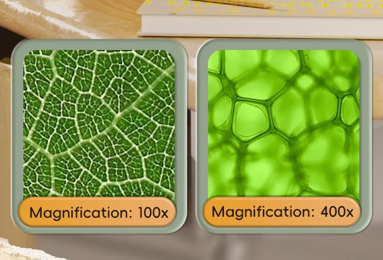 1600x Children's HD Microscope 2-In-1 Handheld Science Experiment Set with LED Light Toy Portable Outdoor Toy Take Photos