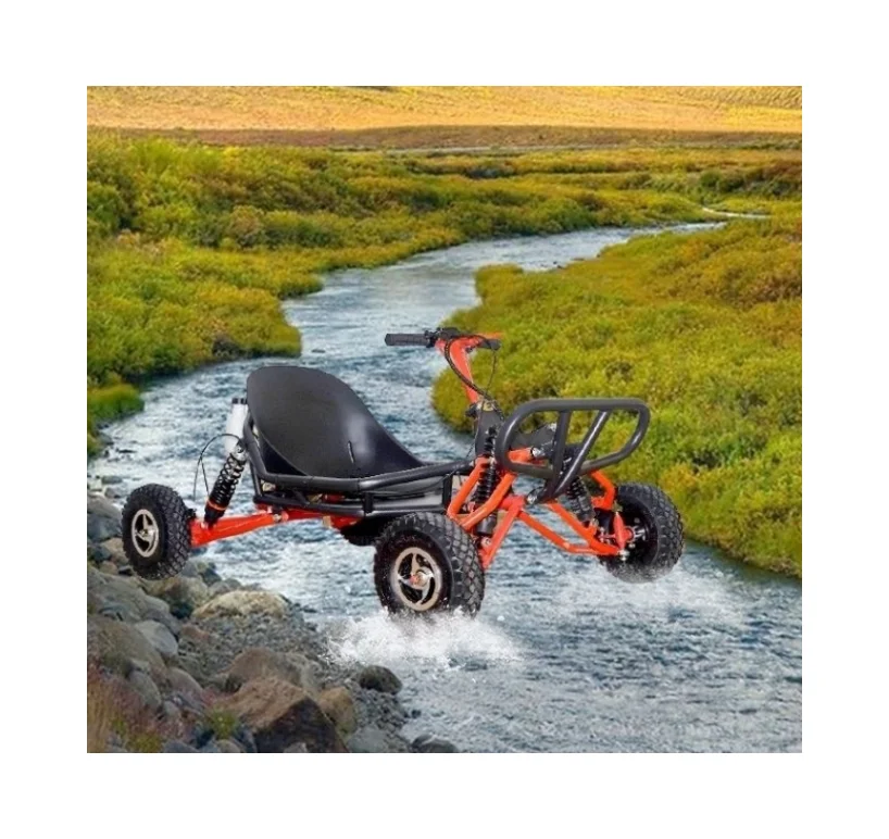 Cheap Go Kart for Adults and Go Kart Frames Amusement Rides Electric or Gasoline for Sale