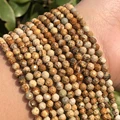 Picture Jasper