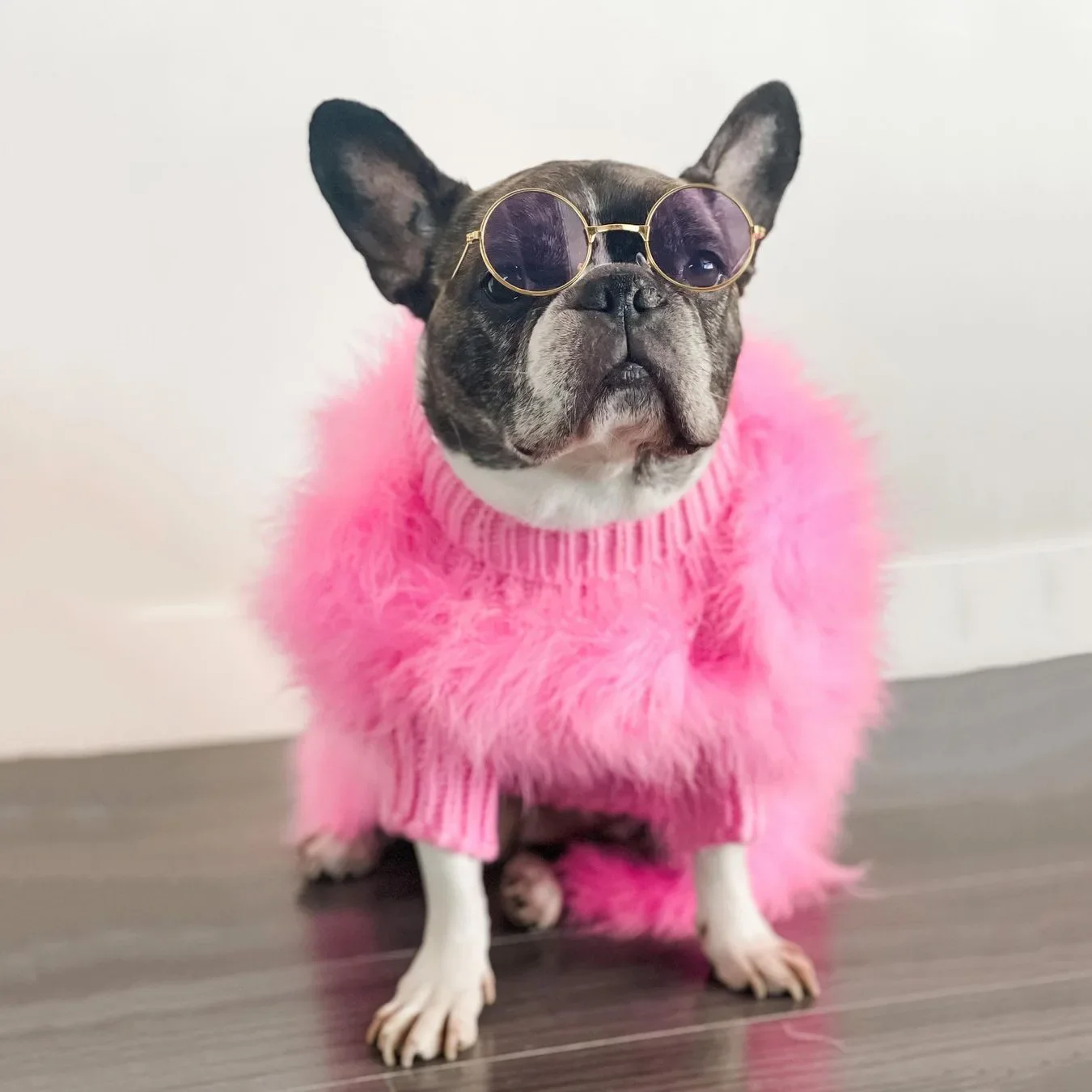 

Ropa invierno suave plumas pavo mascotas, suéter diseño perros, disfraz cachorro, Chihuahua, Bulldog Fr