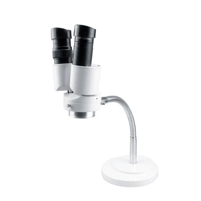 

8X Binocular With LED Lighting Lab Microscope