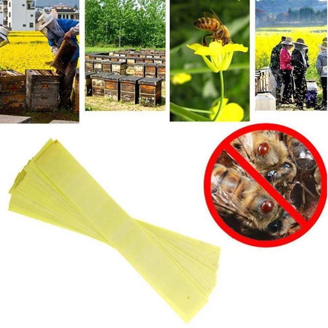 20Db/Pack Fluvalinate Csíkok Anti Rovar Kártevőirtó Azonnali Atkák Gyilkos Miticide Méhgyógyászat Atka Szalag Otthoni Szerszámfarm - Image 6