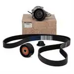 117209886R Cinghia Di Canale Interna Per Qashqai Xtrail (In Scatola) Qashqai Xtrail Fluance Megane Iii 1,6 Dci R9M Engine, W205 14 14 14 14