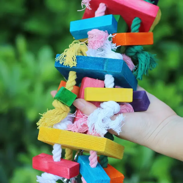 Toy Bird Large and Medium-Sized Macaw Nibbling Toy Wooden Color Toy Birds Supplies Parrot Swing 3