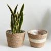 Plant Basket Liners Woven Rattan Plant Pot Containers Coco Fiber Liner Plant Vase Home Garden Decoration 1
