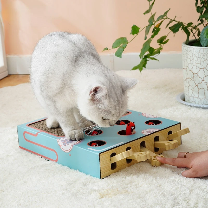 3 In 1 Cat Scratching Board Cats Interactive Toy Chase Hunt Mouse With