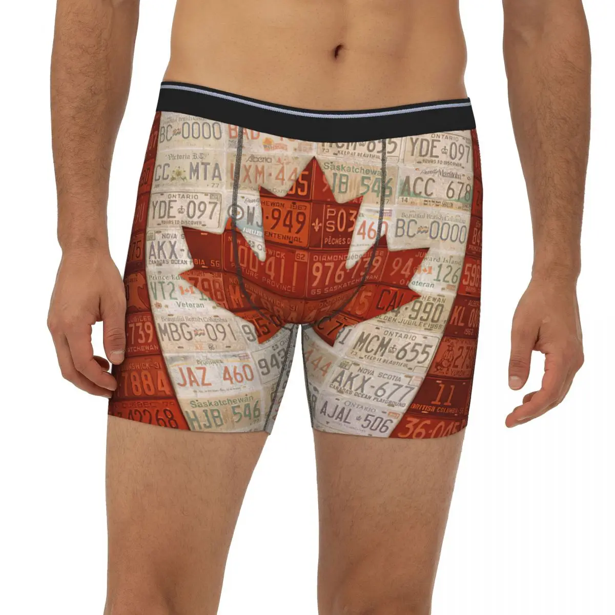License Plate Art Flag Of Canada Underpants Breathbale Panties Male Underwear Print Shorts Boxer Briefs extended underwear
