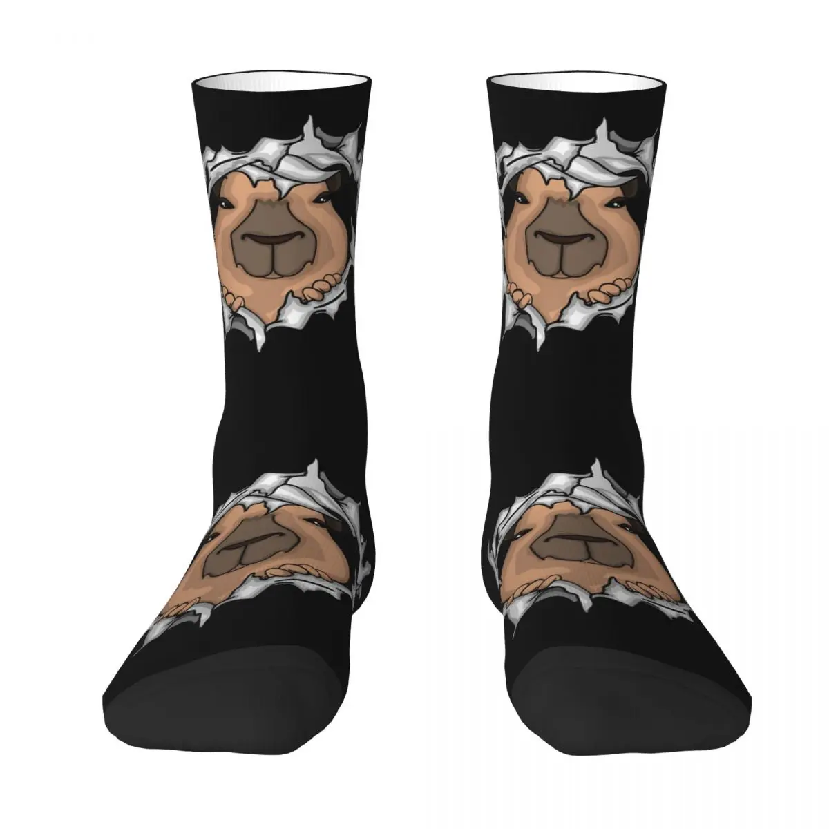 

Capybara Is My Spirit Animal Socks Harajuku High Quality Stockings All Season Long Socks Accessories for Unisex Gifts