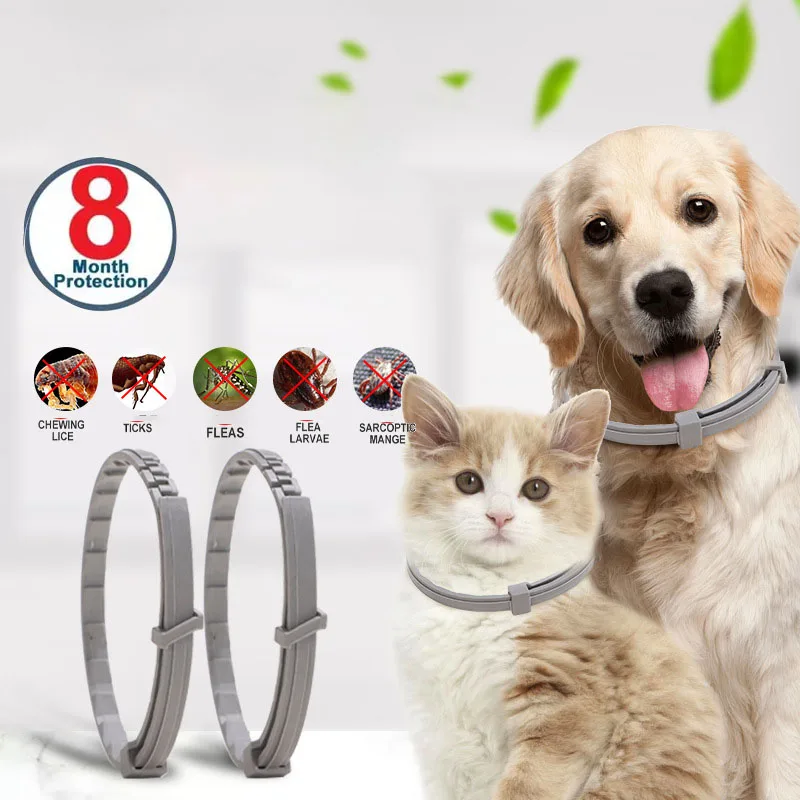 Dog Anti Flea And Tick Collar Cat Antiparasitic,Pet 8Month Protection