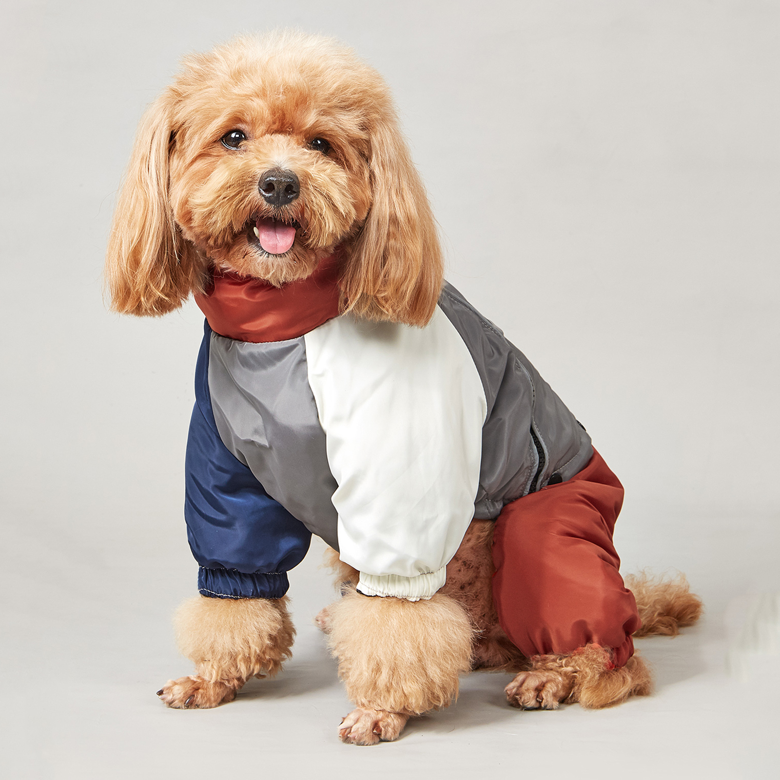 Winter Dog Jacket Warm Thicken Cotton Clothes With Traction Ring Dog Windproof Coat Medium Large Dogs Outdoor Cold Proof Clothes