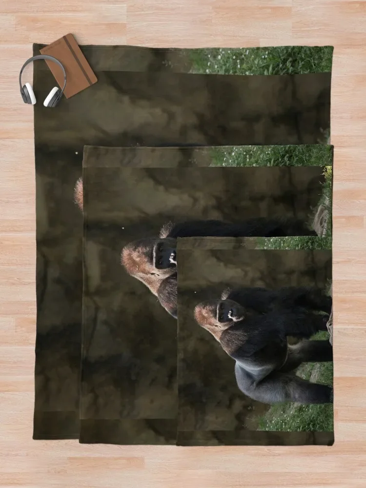 ġ�� ������ ���, �Ͽ��� ���� ���