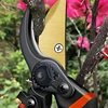 10 Inch Golden Eagle Beak Fruit Tree Pruning Shears, Rough Branch, Energy Efficient Flower Gardening, Home Use 5