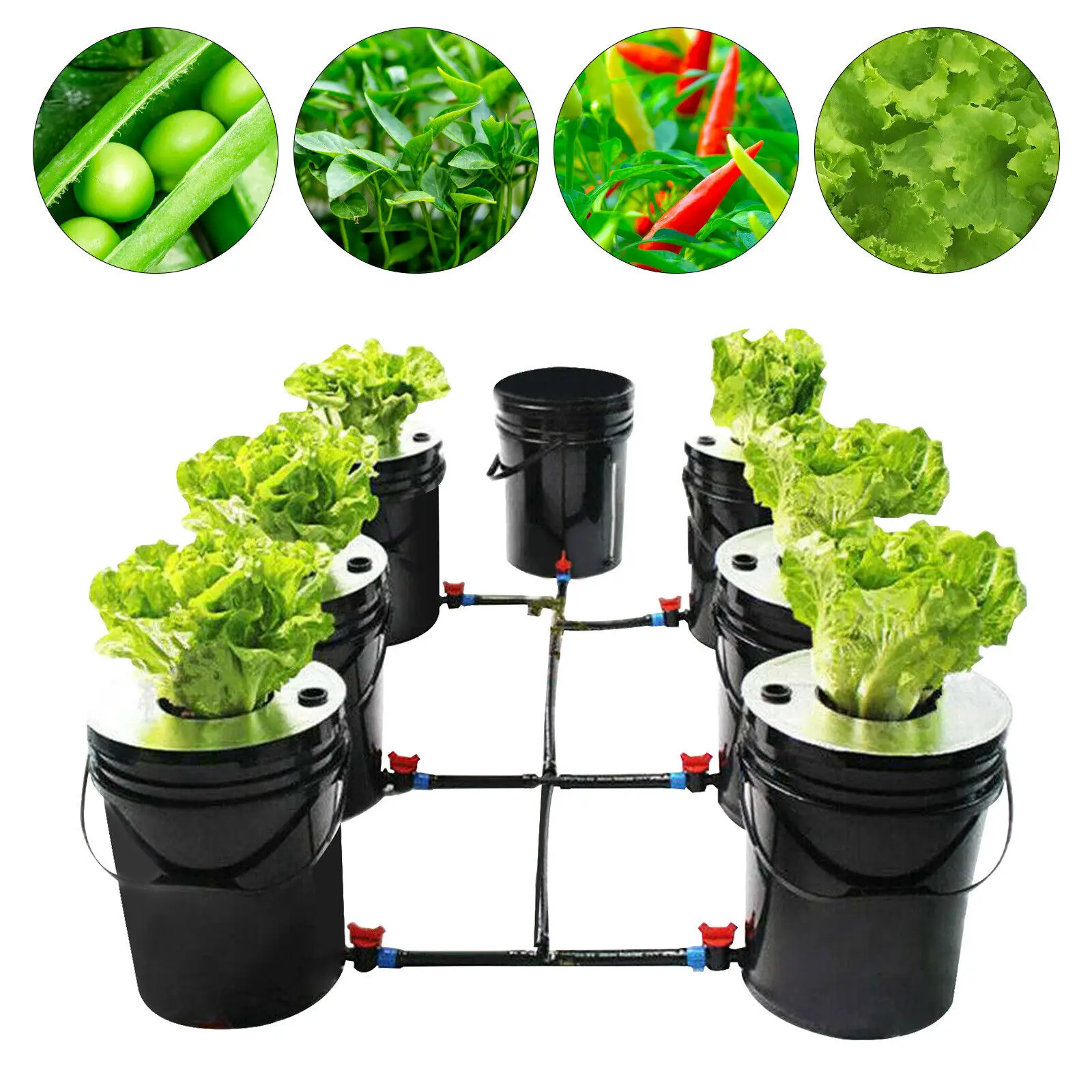 Hydroponic Deep Water Culture 6 Plant Growing System