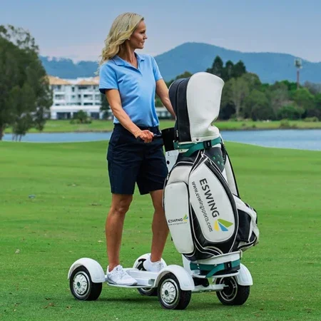 60V 18.2Ah 1000W Golf Board 4-Wheel Electric Golf Cart