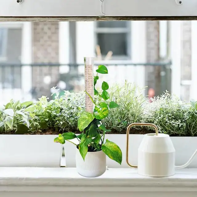 Növénytámogató Tétkert Kerti Botok Mohás Oszlopok Beltéri És Kültéri Mászáshoz - Image 3