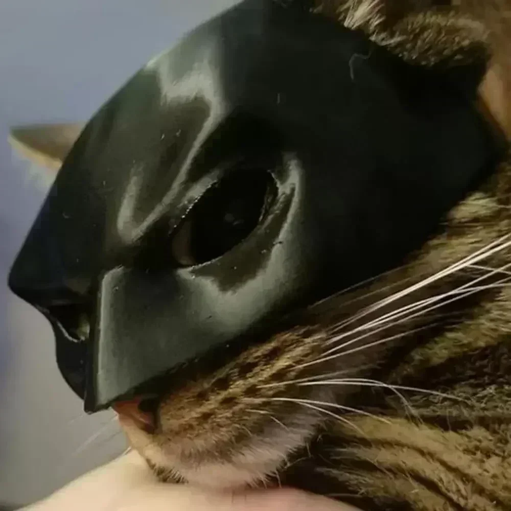 Cat Bat Man Mask Cat Avenger Mask Matte Cute Bat Superhero Toys Pet pet toys