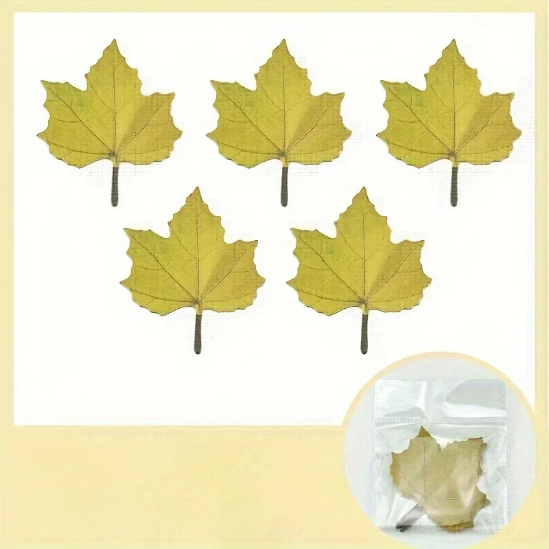50–300 Stück Ahornblatt-Aufkleber, Herbst-Dekor-Aufkleber, DIY-Wunschnotizen, dreifarbiges Design, abnehmbare Aufkleber für Dekor, Geschenkverpackung – Detail 7