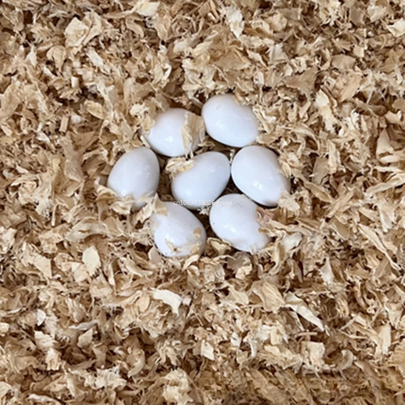 Plastic Lifelike Simulation Bird Eggs Pigeon Quail Fake Egg Aviculture Tools Nest Hatching Eggs accesorios para pajaros 10/1Pcs bird eggs