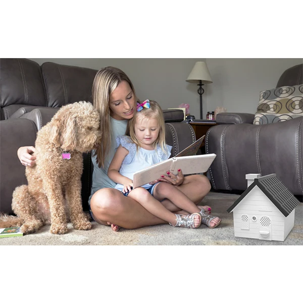 Pet Dog1688 Store