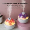 2025 New USB Power Cord Mini Simulated Flower Air Humidifier Aroma Diffuser Essential Oil Diffuser With Warm Night Lights 1