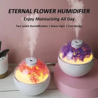 2025 New USB Power Cord Mini Simulated Flower Air Humidifier Aroma Diffuser Essential Oil Diffuser With Warm Night Lights 1