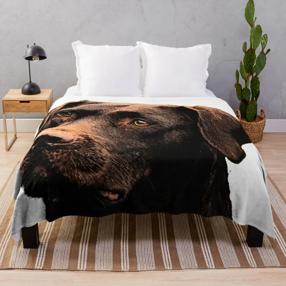 

Chocolate Lab Throw Blanket fluffy Cute Blankets