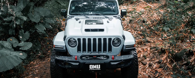OMU 4x4ドアヒンジステップ アルミ製折りたたみ式フットペダル 2007