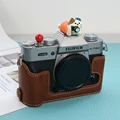 Lying Camera Cat