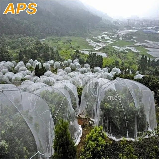 5M 80Mesh Rovarháló Gyümölcsfák Kártevőirtó Növények Védelem Borító Pe Nylon Nettó Szúnyog Levéltetvek Kártevő Visszautasító - Image 6