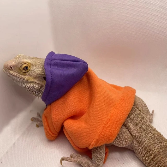 Bearded Dragon Clothes Costume Accessories Apparel Clothing Hand-made Warm Coat Hoodies Jackets for Small Animal Geckos 4