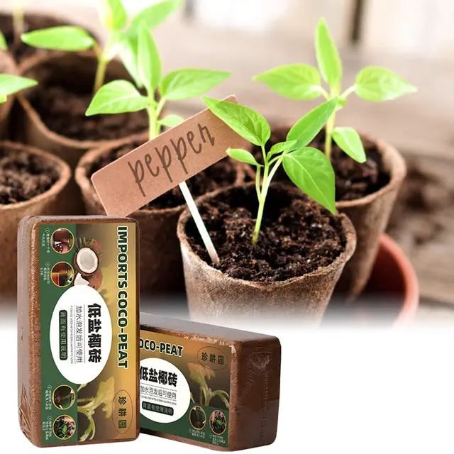 Kókuszdió -Kókuszrögzített Tégla Organikus Segédanyag Cserepes Kerti Növények Talaj Tápanyag Ágy Virágok Gyógynövények Növényi Kókuszrillek