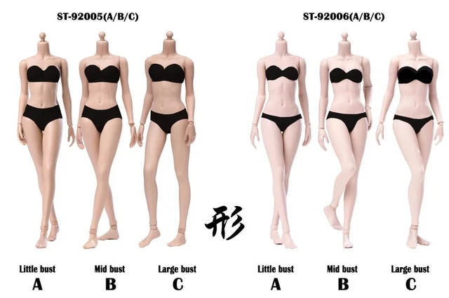 Worldbox 1/6 Female D Cup E Cup Breast Big Bust Replacement Accessories  Model Fit AT201 AT202 AT203 Body（not include Body) - AliExpress