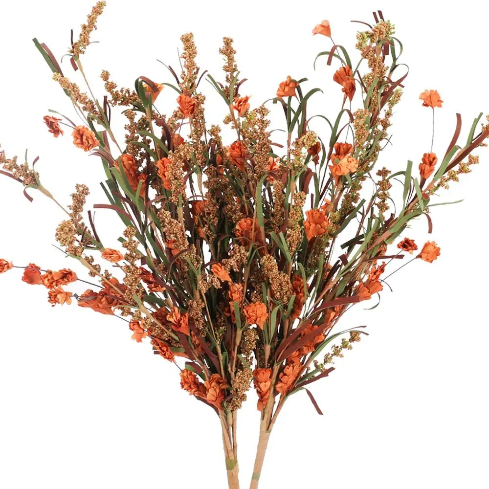 Dried Flower Image