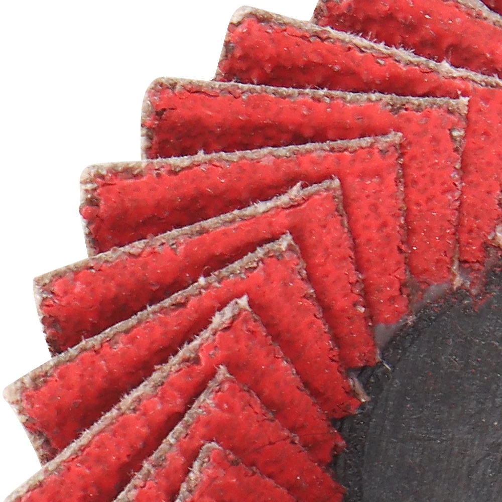 Рисунок 5 - Плоские откидные диски из зернистости 52 мм 60