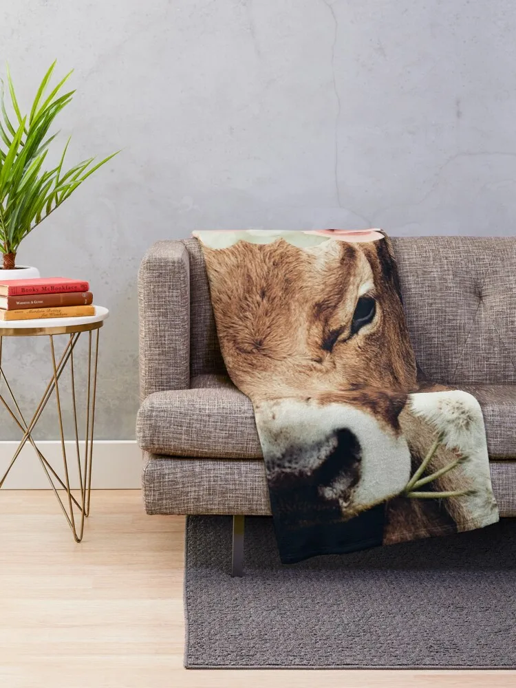 Glamour �ϼ� ������ ���, �ε巯�� �÷��� ���� ���� ���� ���, ǫ���� ���