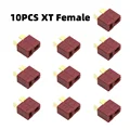 10 PCS XT F