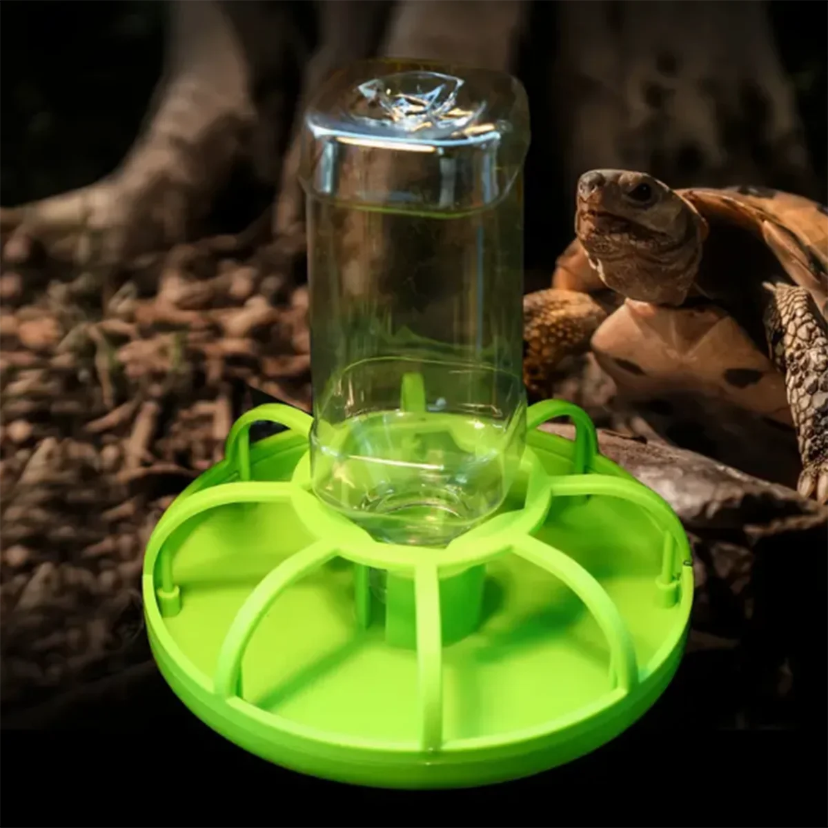 Reptile Water Feeder 6