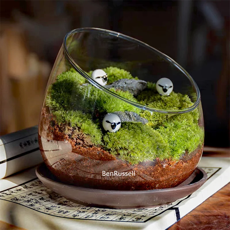 Micro Landscape Bevelled Glass Vase Fresh Green Succulent Moss Bottle Glass Terrarium Bonsai Home Desktop Decor 6