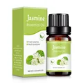 Jasmine B 1pc