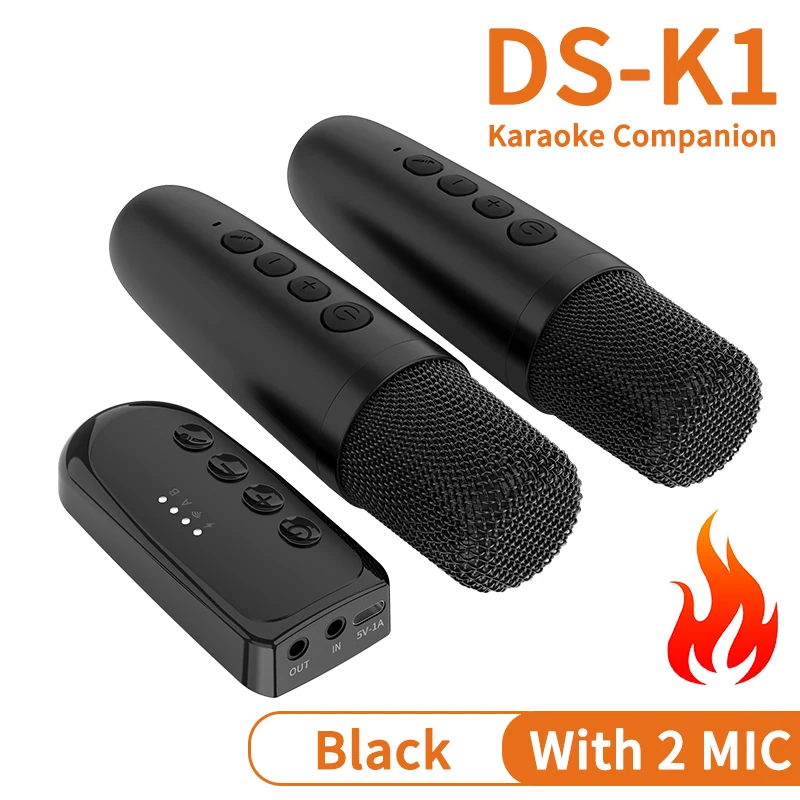Black With 2 MIC