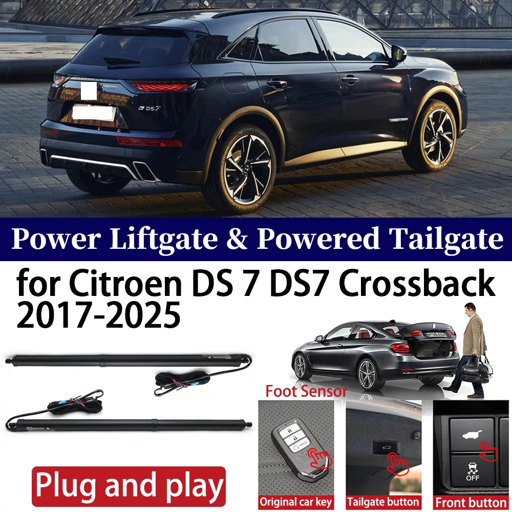 Apline ACE-2 Type Dakdrager Bagagedrager Compatibel met Citroen/DS 7