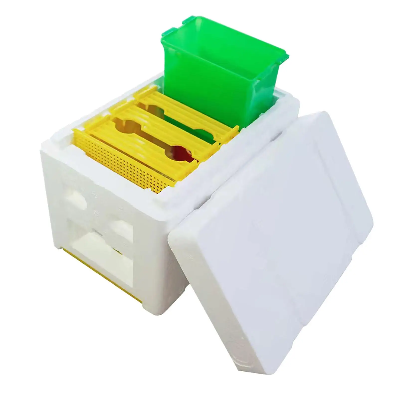 Beekeeping Case Queen Bee Rearing System, Frame Beehive DIY Beekeeping Kit, Breeding Set, Beehive Brood Box,