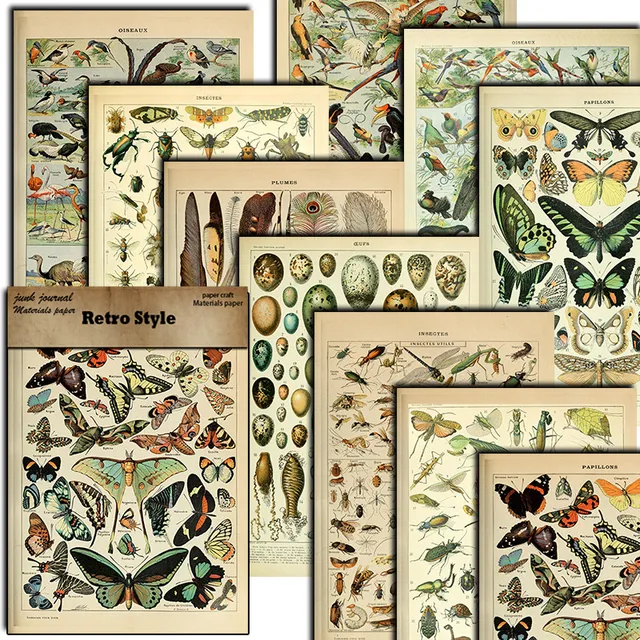 Insect Stickers 3