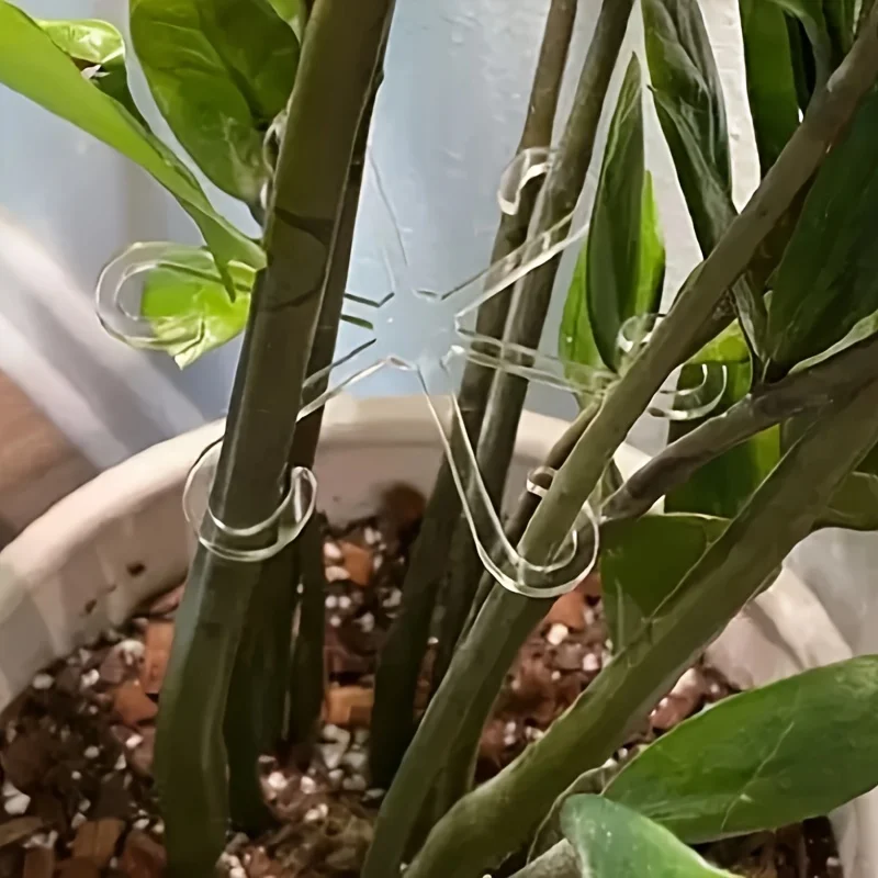 Plant anti-toppling steun - afbeelding 7