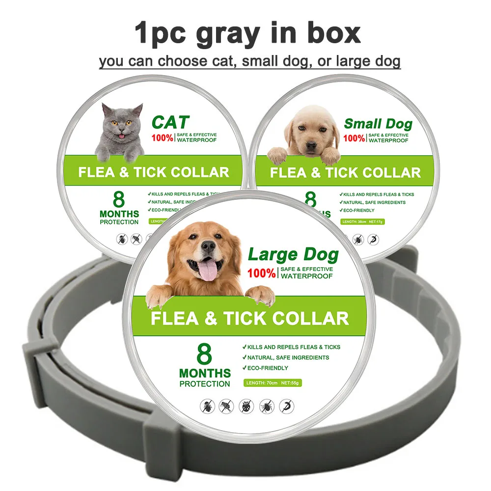 gray (in box)