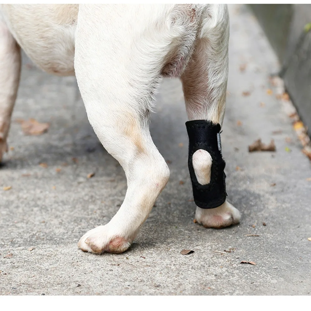 Title 12, Pet Knee Pads Dog Support Brace for Leg Hock Jo...