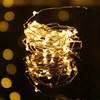 Copper Wire Curtain LED String Lights Holiday Lighting Fairy Garland For Christmas Tree Wedding Party Decoration Curtain Natal 1