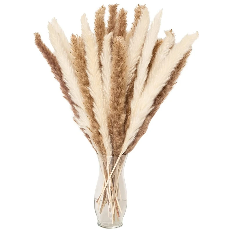 

Dried Pampas Grass For Home Decoration,Small Pampas Grass,Faux Pampas Grass,White Pampas Grass,Brown Mini Pampas Grass