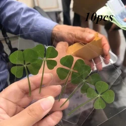 Lucky Four Leaf Clover Transparent Wishing Card - Natural Grass Fresh Gift (Green - 10pcs)