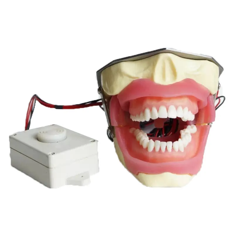 Модель извлечения стоматологической анестезии с зуммером для студентов, учебные пособия для обучения весы для игр учебные пособия инструменты детские деревянные игрушки товары для обучения
